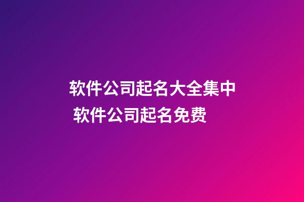 软件公司起名大全集中 软件公司起名免费-第1张-公司起名-玄机派